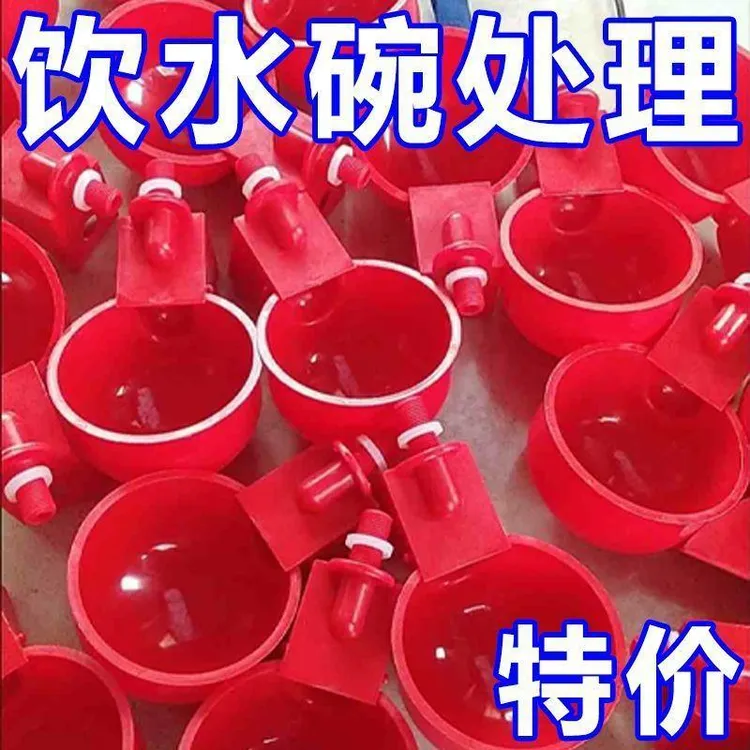 挂式家禽自动饮水器喂 食喂 鸡全自动喂水家禽鸭鹅鹌鹑饮水碗喂 