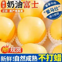 【头茬新果】2025头茬奶油富士烟台苹果脆甜新鲜带箱3斤约4-8个大果