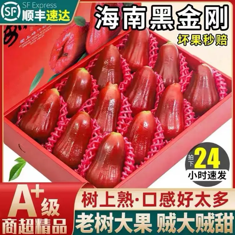【顺丰包邮】黑金刚莲雾特大果当季新鲜水果福建三亚特产