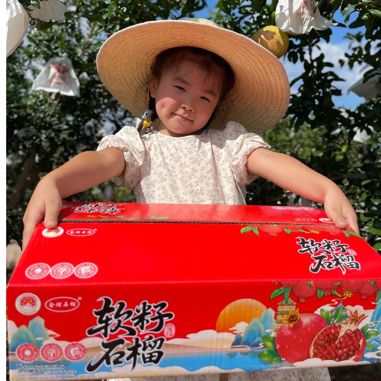 四川会理突尼斯软籽石榴新鲜当季孕妇水果带箱5斤8斤包邮