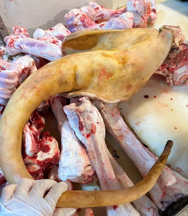 【牛尾】【牛脚】带皮小黄牛鲜牛肉散养小黄牛贵州凉都黄牛肉