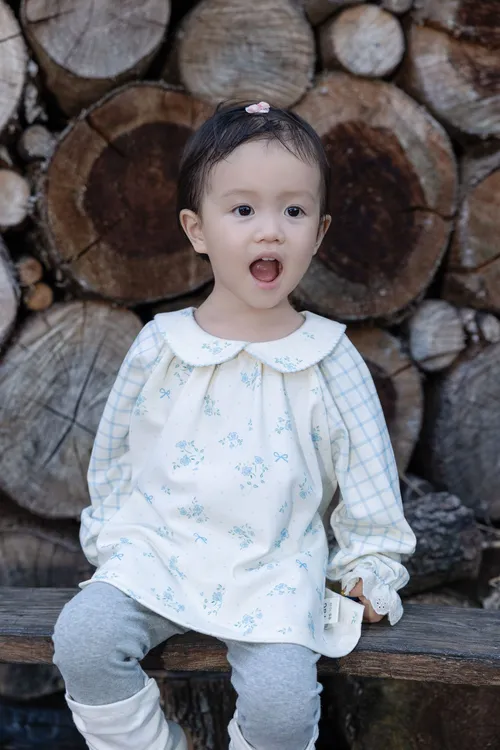 2025秋季半熟新款婴童洋气上衣婴儿公主长袖裙上衣纯棉宝宝儿童