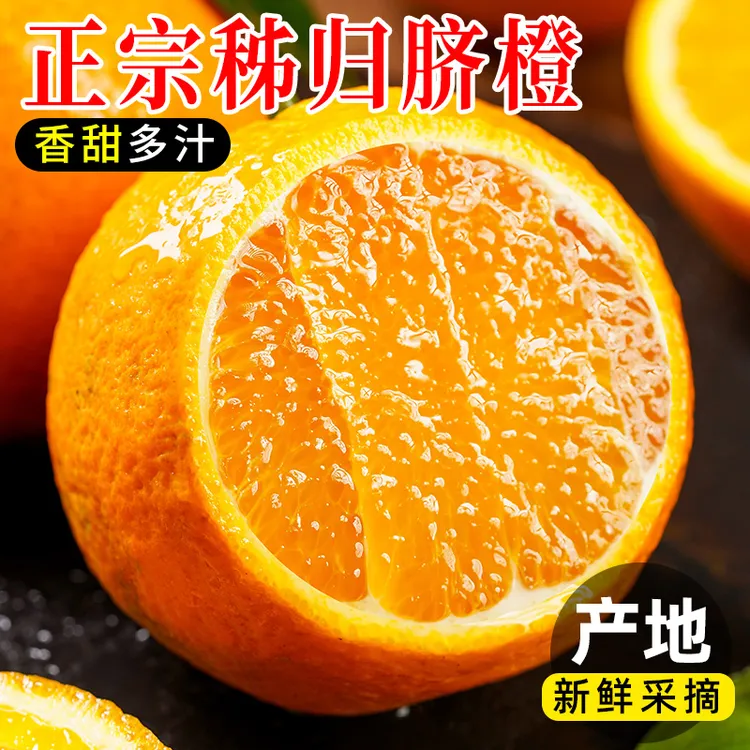 新鲜脐橙当季时令水果产地直发农家自种湖北秭归榨汁专用橙子