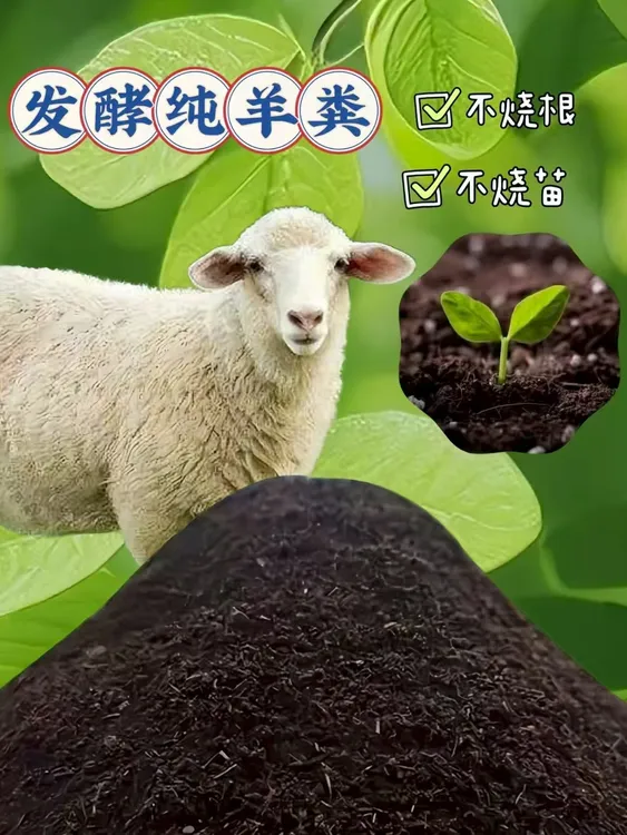 发酵羊粪养花绿植果蔬农家肥专用营养土土壤活化剂羊粪肥农用肥