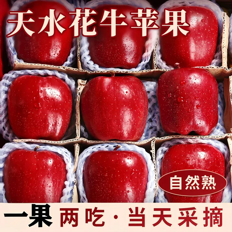 甘肃天水花牛苹果脆粉两吃/新鲜水果/现摘