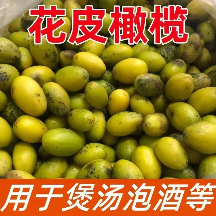 潮汕金灶花皮橄榄新鲜现摘老树纳种甘香回甘可生吃煲汤泡酒无渣