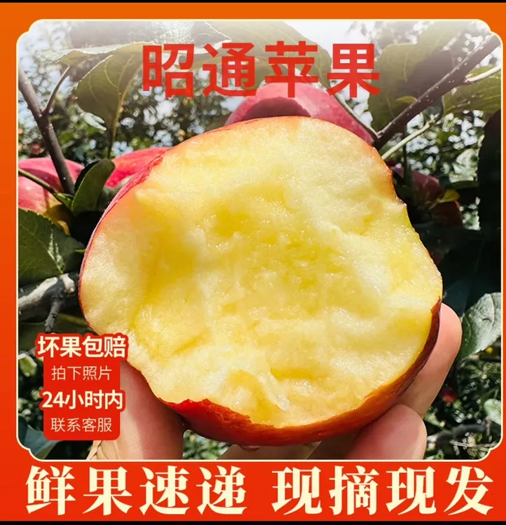 云南昭通丑苹果新鲜脆甜多汁自然成熟当季水果产地直发