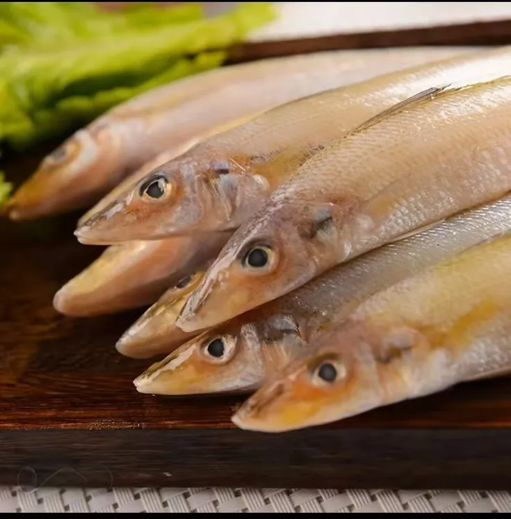 本地野生大号 沙丁鱼 3斤（顺丰京东包邮到家）