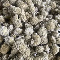 6一村一品，源自农家-精选【绿萝花】