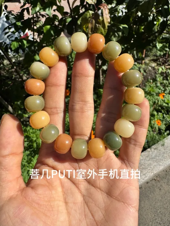 天然原生态菩提根玉化料多宝色菩提根手串国风文玩绕指柔单圈手串