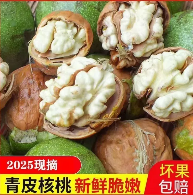 【高山老树青皮核桃】当季云南新鲜去青皮核桃水果核桃孕妇生吃核桃