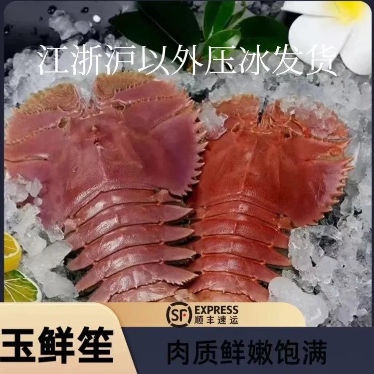 东海台州鲜香海鲜琵琶虾（充氧打包 包鲜包肥不包活）1000-1500g