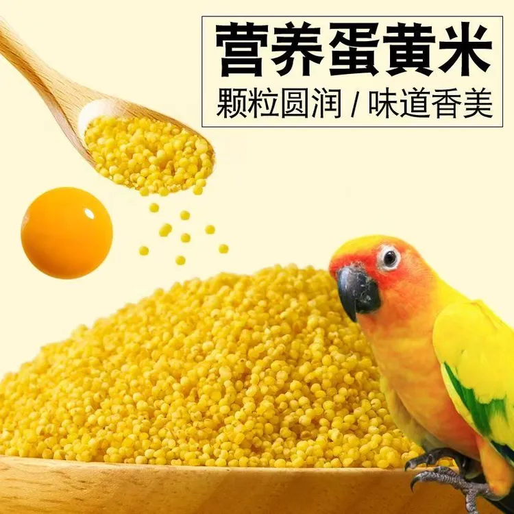 鹦鹉蛋小米幼鸟断奶繁殖专用促进繁殖无壳鸟粮黄小米虎皮牡丹玄风