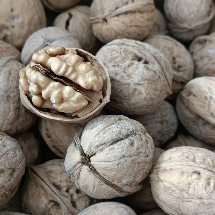 新疆阿克苏185纸皮核桃原色未清洗薄壳易剥果肉饱满