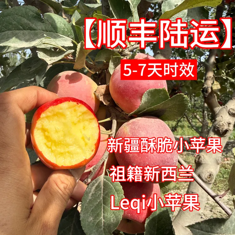 【顺丰陆运】5-7天时效 新疆酥脆小苹果苹果LQ小苹果酥脆香甜