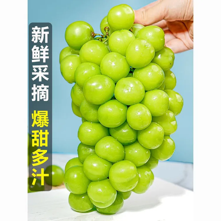2025东北新鲜阳光玫瑰晴王葡萄新鲜大颗香甜多汁青提水果