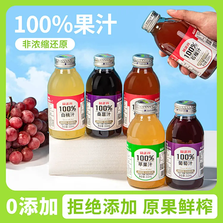 益正元100%果汁原果榨取非浓缩还原无任何添加310ml*15瓶/箱
