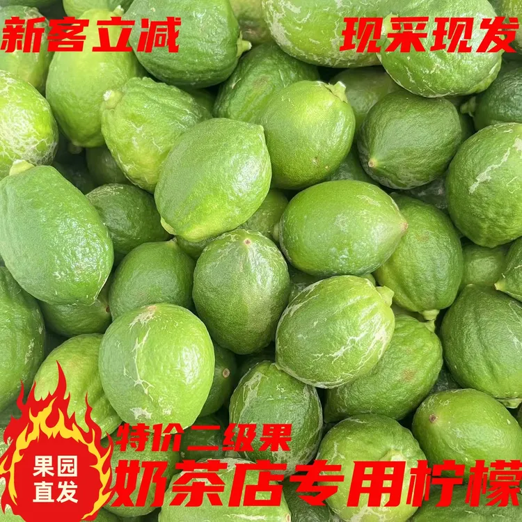 正宗广东香水柠檬果园直发鲜果批发二级果奶茶店专用现摘现发
