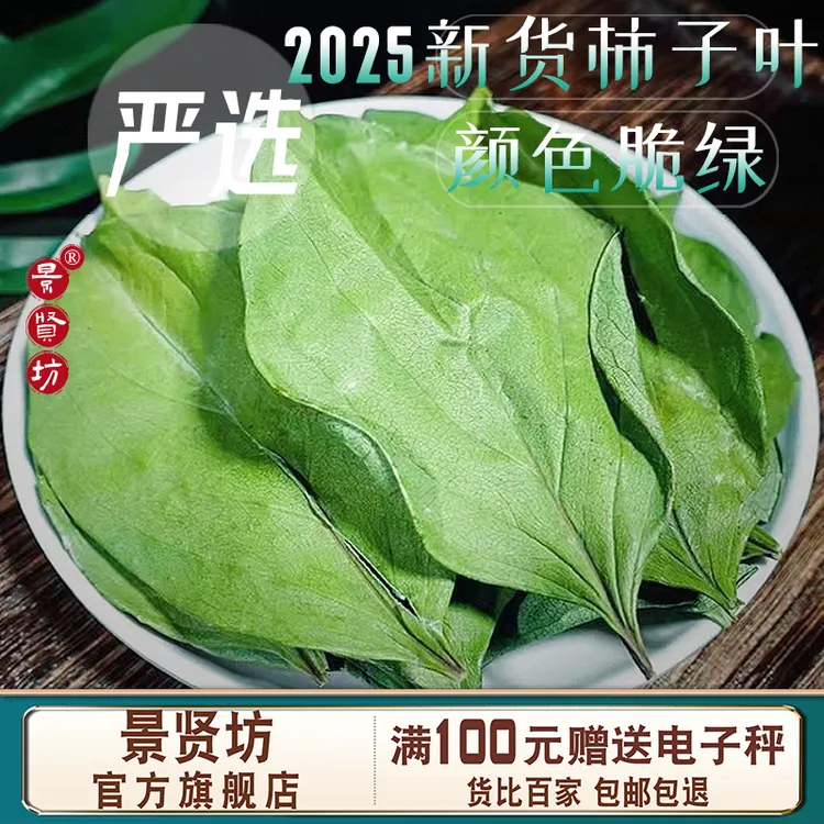 2025年新货柿子叶中药材柿子叶茶柿叶柿子树叶新鲜干货大片颜色绿