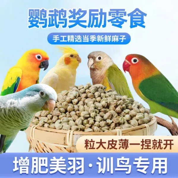 25年新甘肃纸壳麻子玄凤牡丹小太阳和尚鹦鹉训练奖励零食增肥食粮