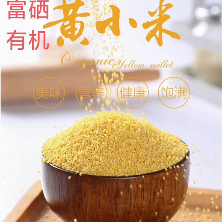有机种植富硒黄小米香浓营养丰富适合学生月子农家宝宝辅食杂粮
