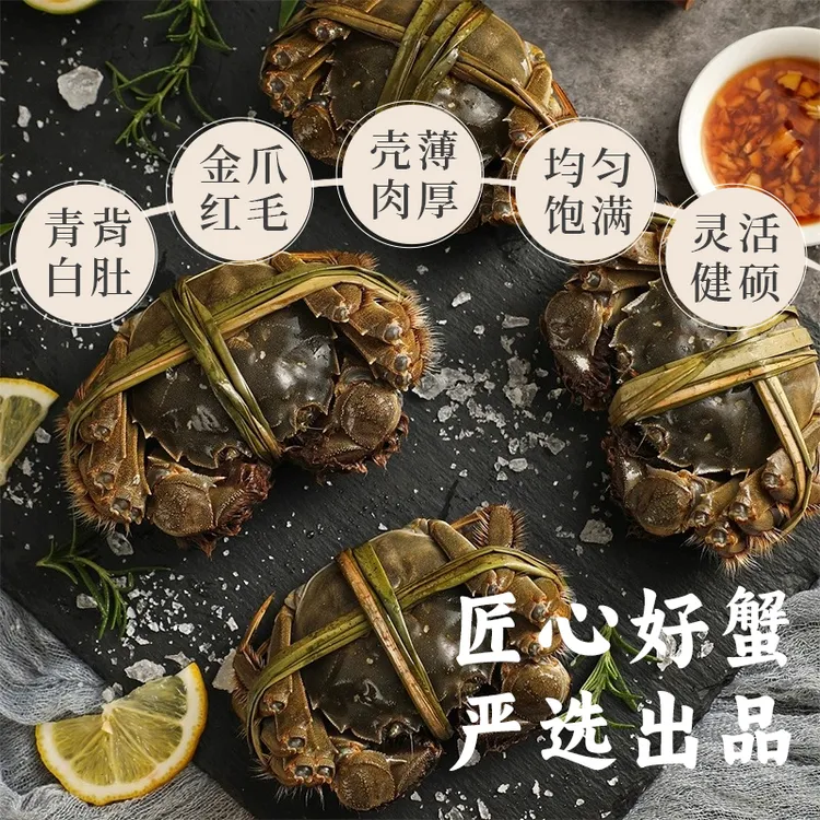 江苏鲜活礼盒福利款公蟹1.7-2.0两6只送2只送礼佳品偶有缺腿