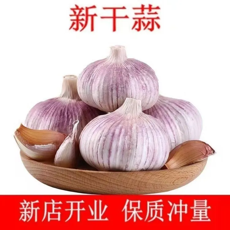 新鲜紫白皮干大蒜头辛辣提香农家自种可做种