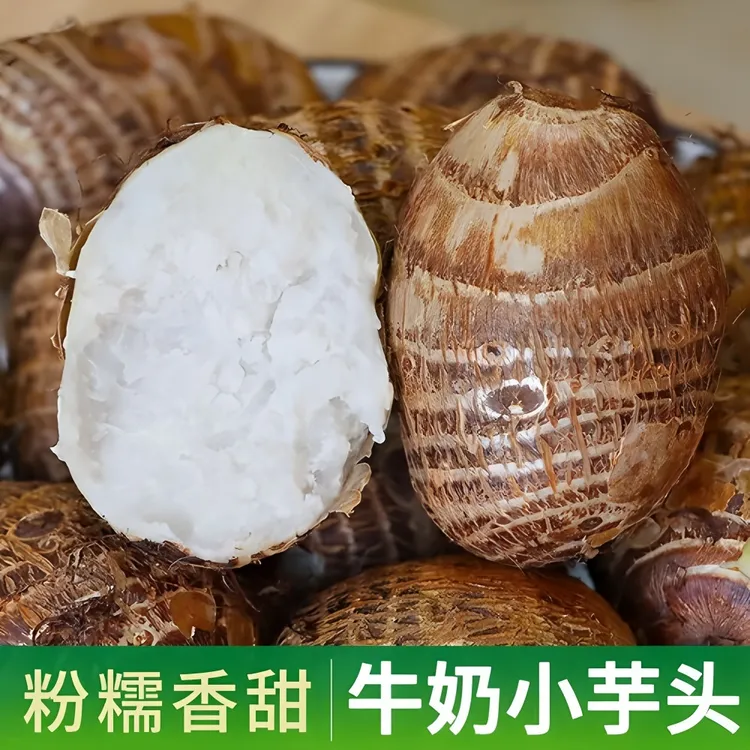 云南高山新鲜牛奶小芋头软糯香甜口感细腻营养丰富的当季蔬菜