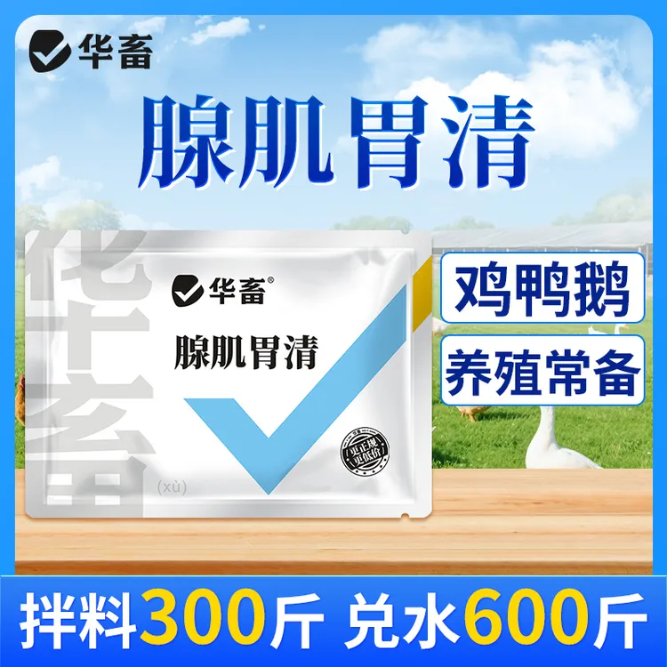 禽用缐肌谓清鸡鸭鹅鸽子鹌鹑芦丁鸡腺肌胃康兽用饲料添加剂商品图