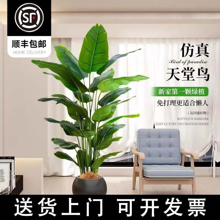 【顺丰包邮】仿真天堂鸟软装家居办公室内仿生绿植大型盆栽假树摆件