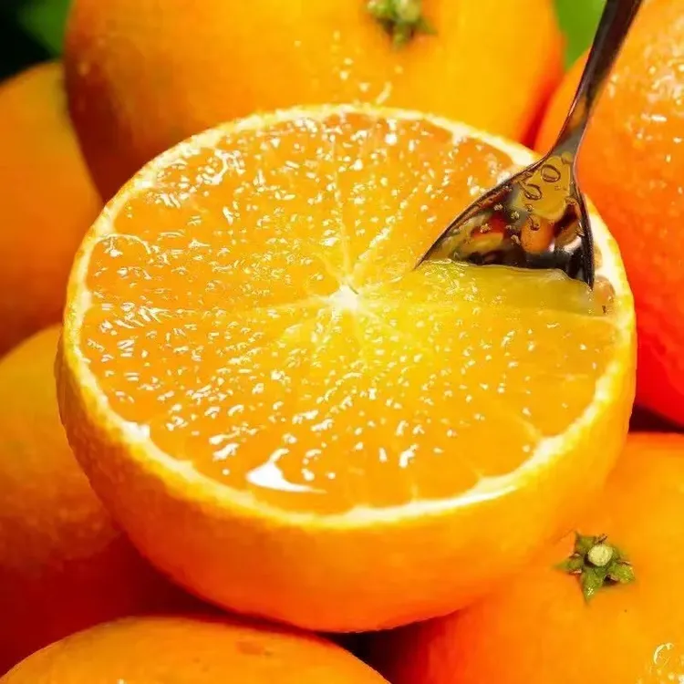 四川爱媛38号果冻橙新鲜水果采摘香甜多汁坏果包赔