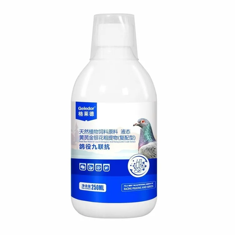 格莱德鸽役九联抗