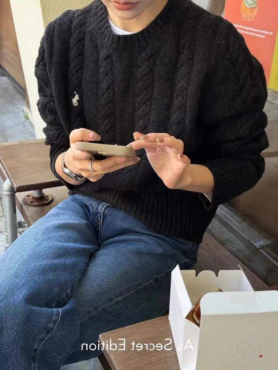 100%羊毛！麻花小马刺绣圆领宽松套头毛衣 Z998