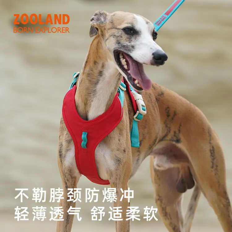 ZOOLAND狗狗四季胸背牵引绳小中大型犬遛狗工字型不勒脖专用宠物
