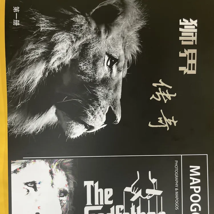 坏男孩联盟册珍藏限量版，顺丰包邮安全快速