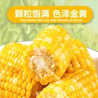 450g*5包-云南高原水果玉米段真空包装开袋即食【到26年4月2号】