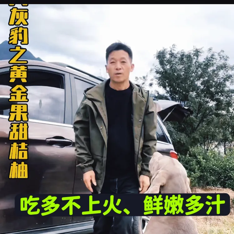 柚一樟庆元甜桔柚爆汁吃多不上火甜橘柚桔柚爆汁水果10斤包邮