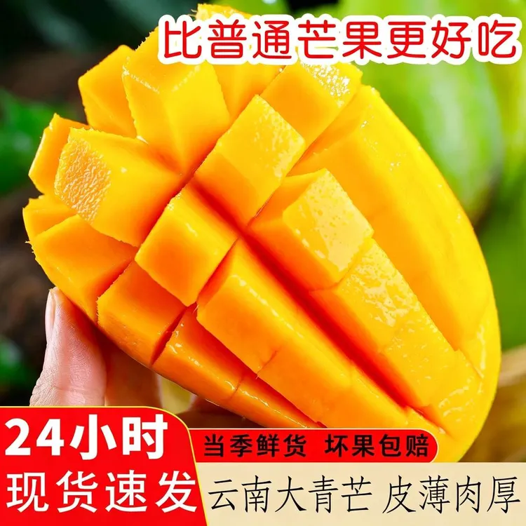 【买5斤送4斤】云南青芒果金煌芒大玉芒新鲜应季当季特大果甜心青皮商品图
