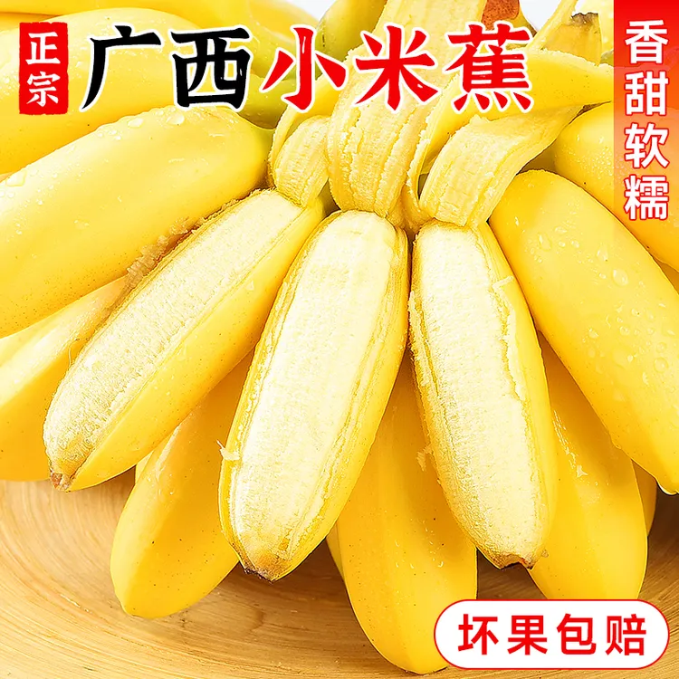 【精品小米蕉】正宗广西小米蕉香蕉水果整箱自然熟粉糯香甜小粉蕉商品图