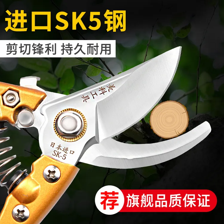 修枝剪园艺剪刀果树剪家用省力修树枝剪子修花工具日式外贸园林剪