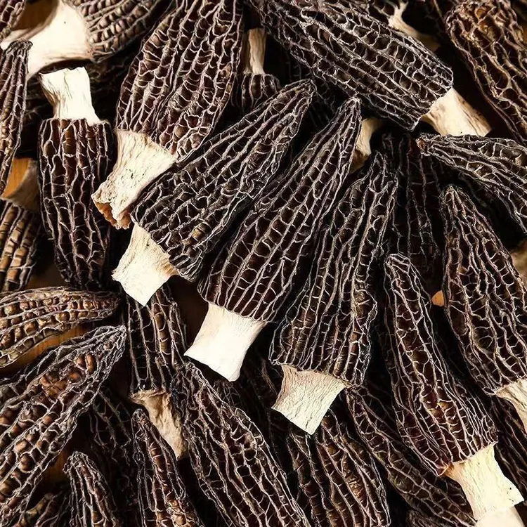 【新货】羊肚菌产地直发4-5厘米长度炖汤煲汤菌菇头茬味道鲜美