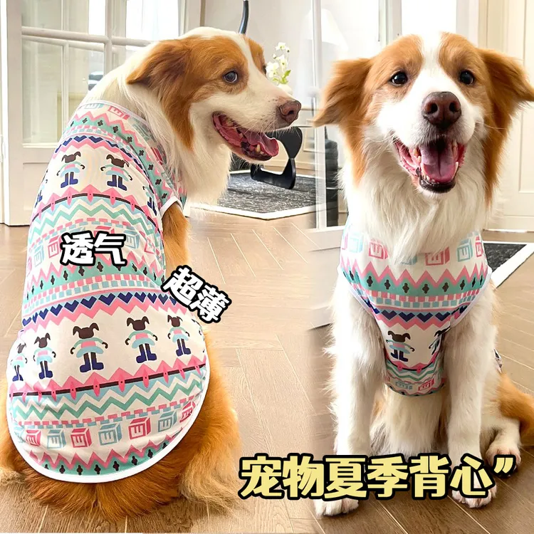 夏季薄款宠物狗猫背心冰凉透气弹力网眼比熊泰迪柯基小中大狗衣服