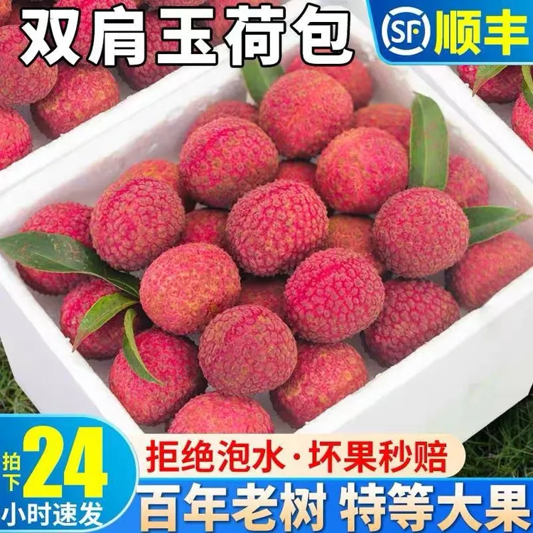 【顺丰冷链】双肩玉荷包荔枝爆甜新鲜现摘现发老树非白糖罂桂味