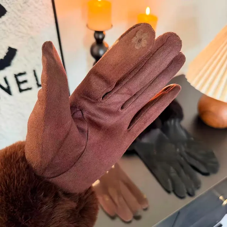 欧洲站高级感定制轻奢可触屏毛口保暖手套女手套【蜜】