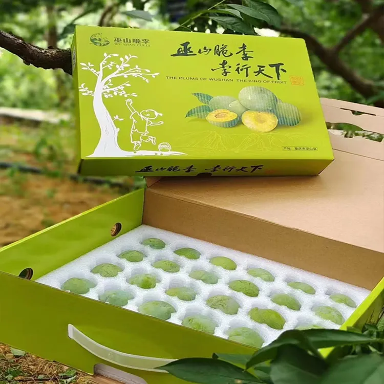巫山脆李脱骨脆李新鲜水果顺丰京东冷链空运礼盒