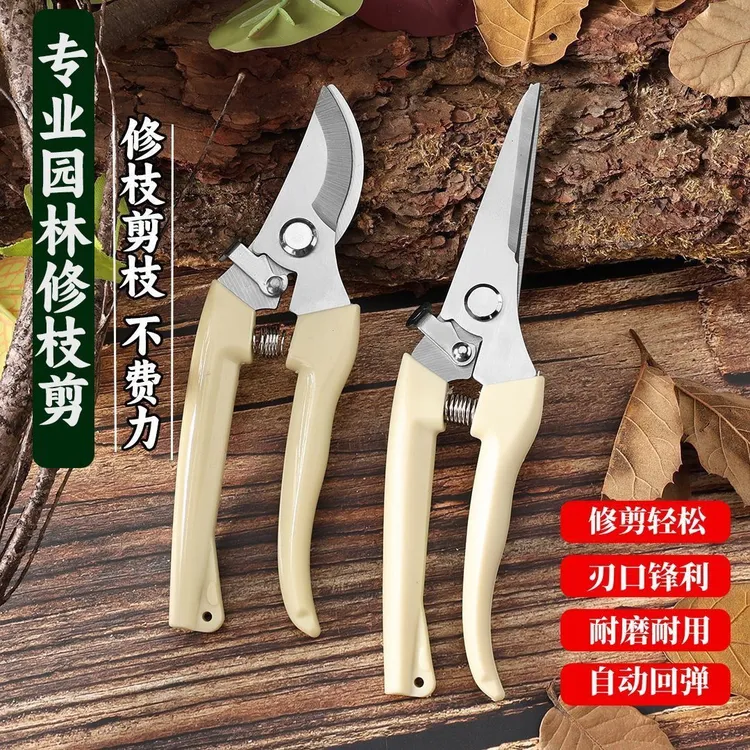 修枝剪刀园艺摘果剪刀花卉剪子园林剪