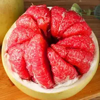 【现摘现发】正宗红心蜜柚新鲜采摘 皮薄肉多酸甜多汁应季水果红心