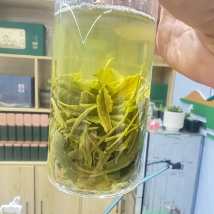 2025年正宗信阳毛尖谷雨口粮茶新茶浓香耐泡