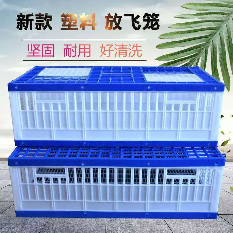 塑料放飞笼拼装训放笼信鸽用品塑料鸽子笼集鸽训放鸽子笼