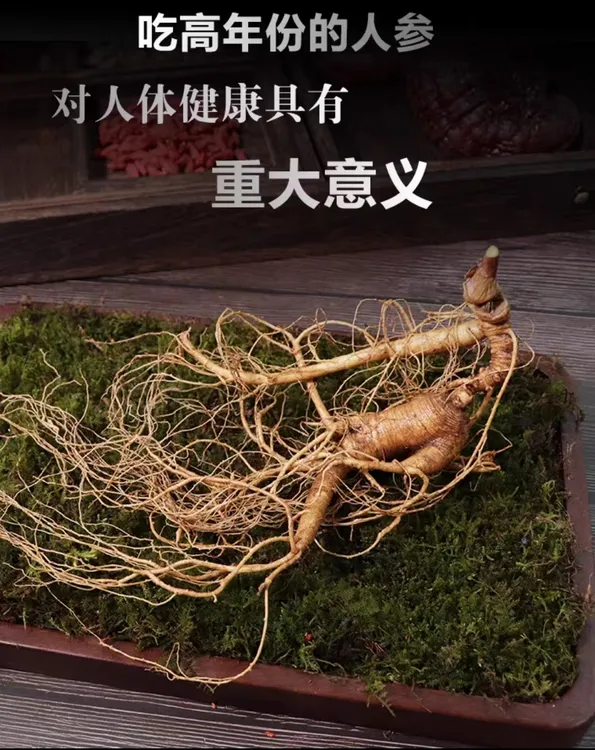 桓仁野山参鲜货直播改价